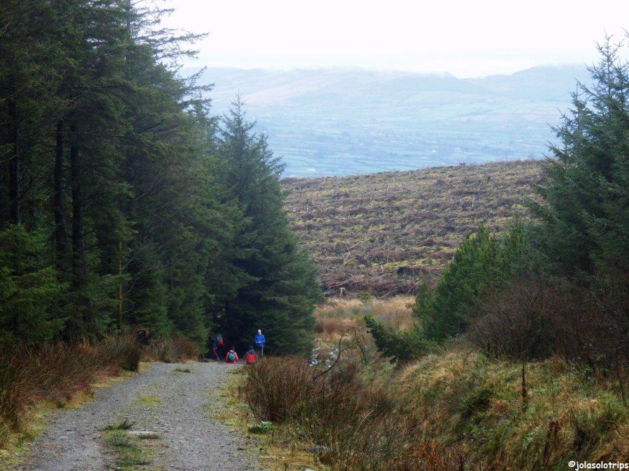 pc301943 — kopia